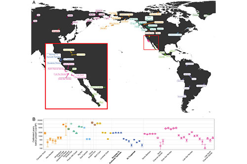 Ancient and modern genomics of the Ohlone Indigenous population of California